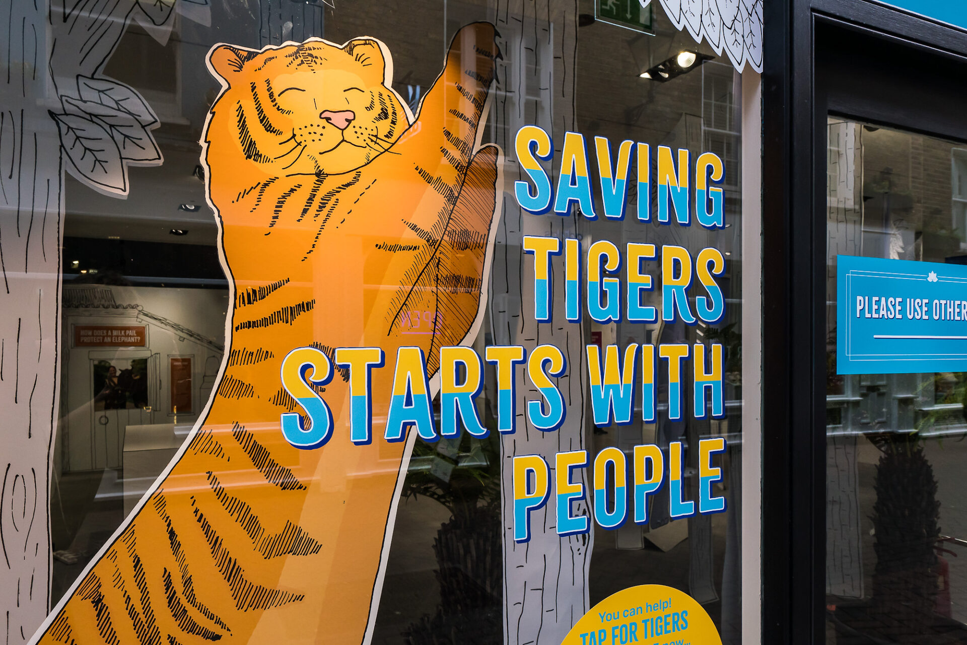 ZSL London Zoo window displays printed and installed in London